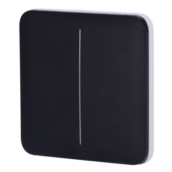 Panel táctil para interruptor de luz doble inteligente I  AJ-SOLOBUTTON-2G-B